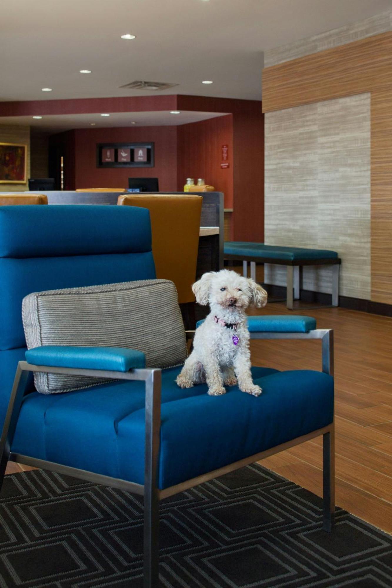 Towneplace Suites By Marriott Austin Round Rock Εξωτερικό φωτογραφία